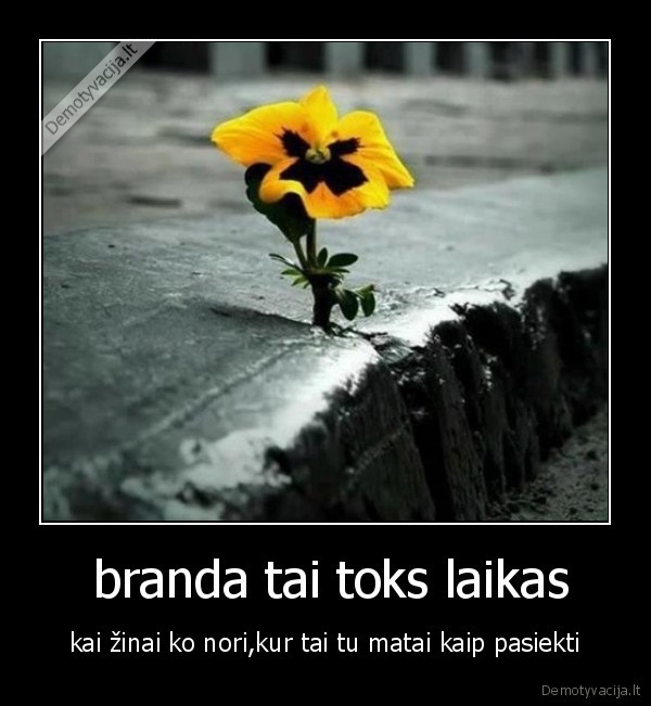  branda tai toks laikas