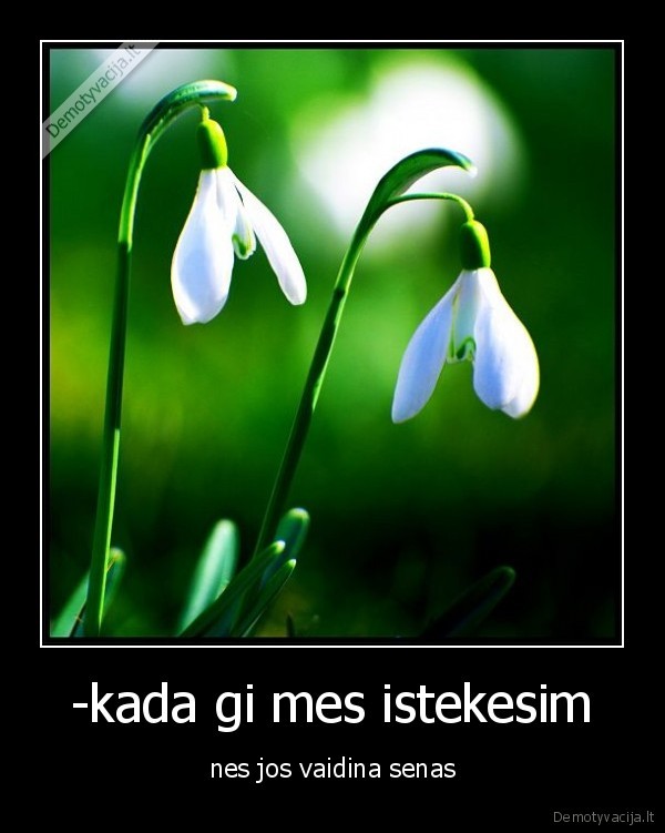 -kada gi mes istekesim