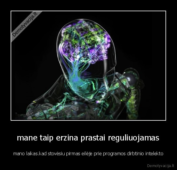  mane taip erzina prastai reguliuojamas 