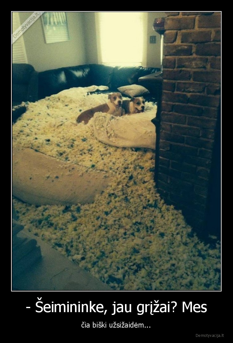 sunys,fail,uzsizaide