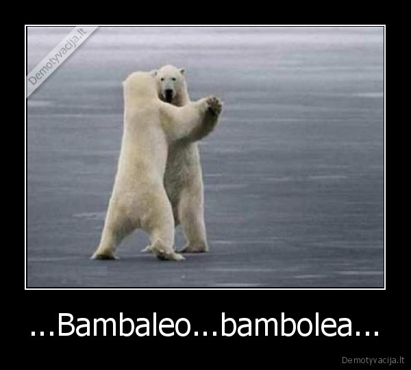 ...Bambaleo...bambolea...
