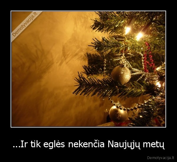...Ir tik eglės nekenčia Naujųjų metų