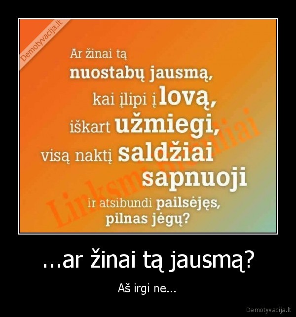 gyvenimas,miegas,poilsis,darbas