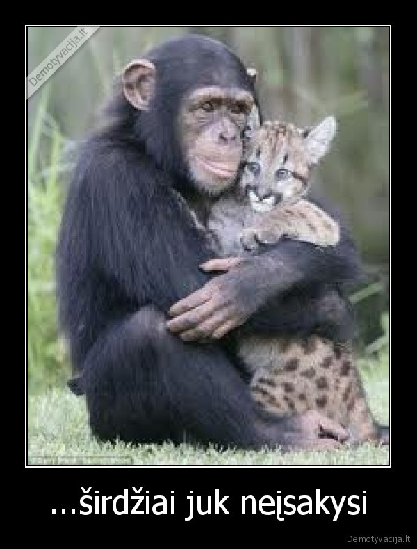 ...širdžiai juk neįsakysi