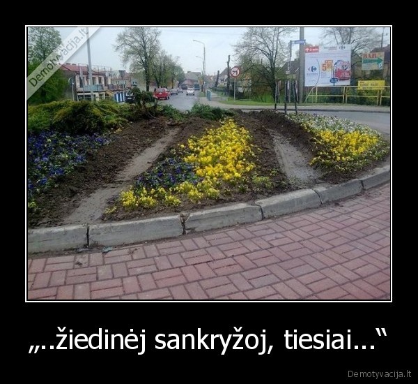 „..žiedinėj sankryžoj, tiesiai...“