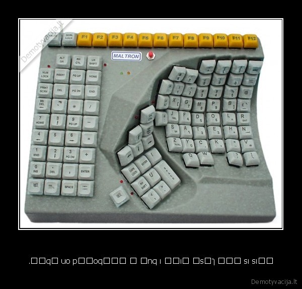 nepirkit,nieko,is,ebay