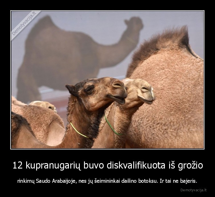 botoksas,lupos,grazuoliai