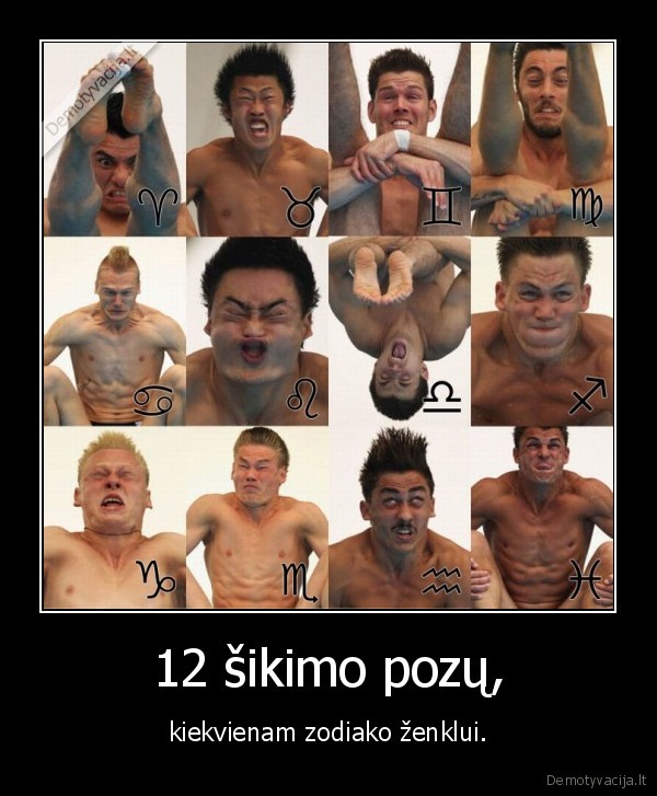 12 šikimo pozų,