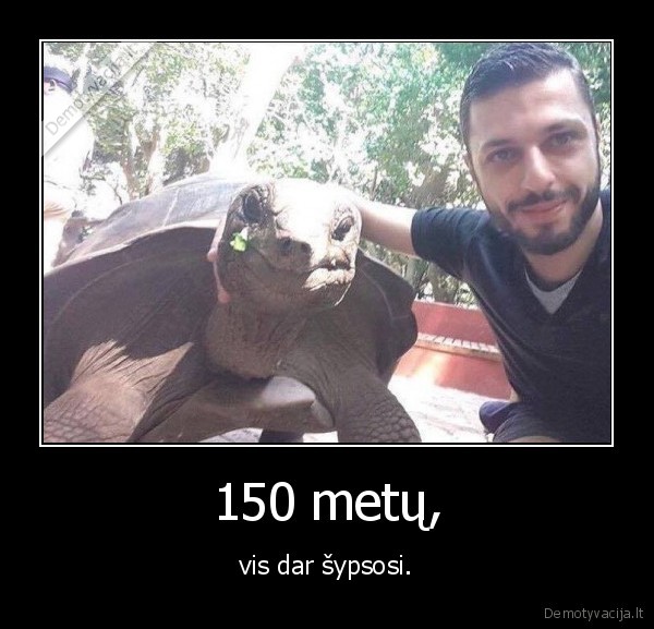 vezlys,senas,sypsena