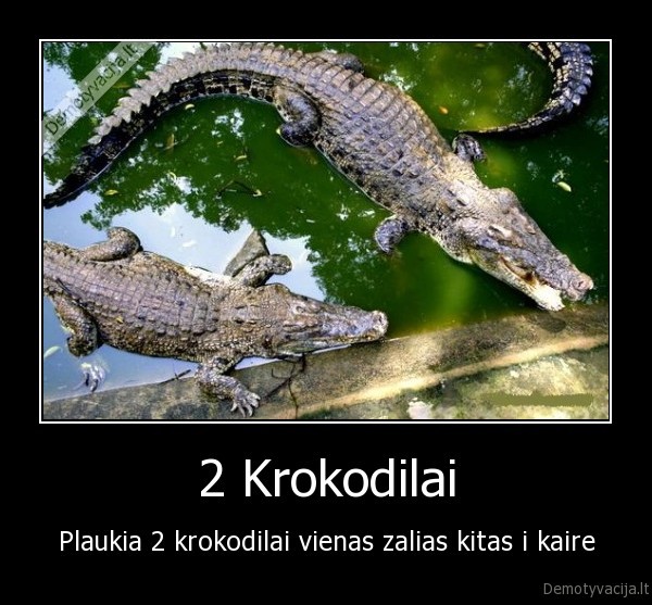 2 Krokodilai