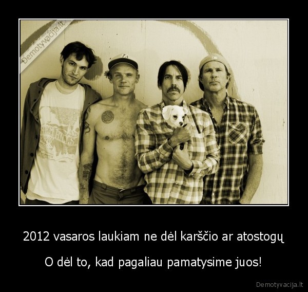 red, hot, chili, peppers, yra, jega, tik, nesamone, kad, kaune