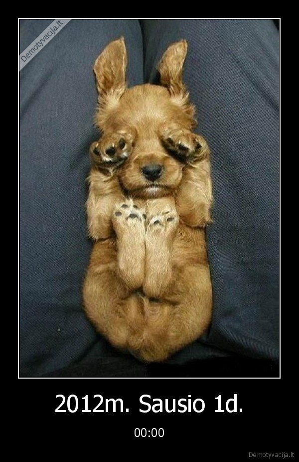 fejerverkai, stresas, suo