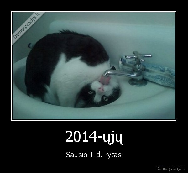 troskulys,pachmielas,nauji, metai,istroskes, katinas