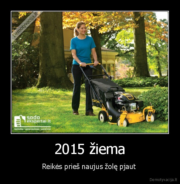 2015 žiema