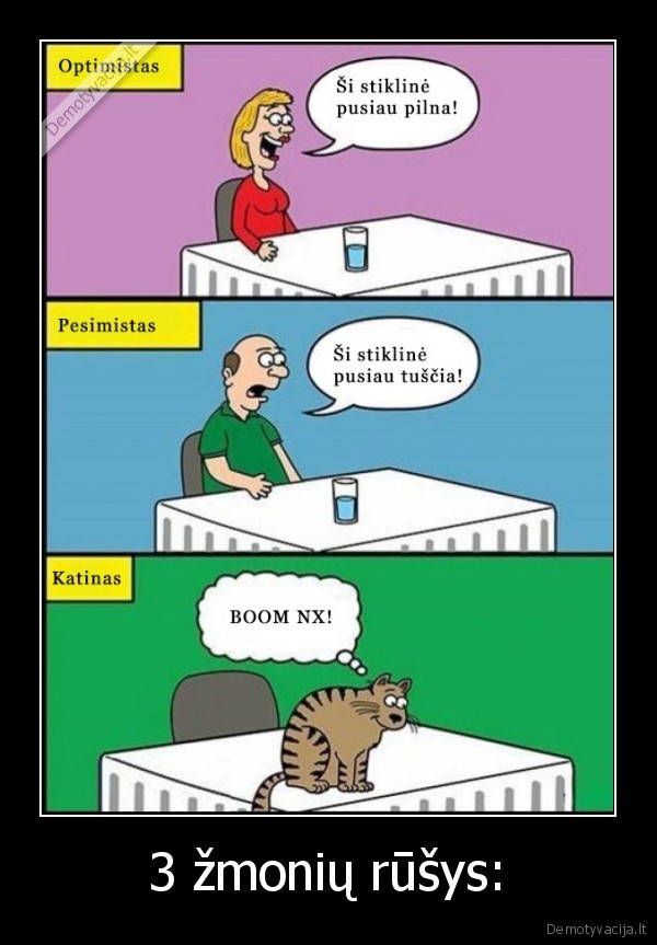 katinas,optimistas,pesimistas