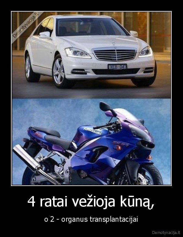 ratai,automobilis,organai