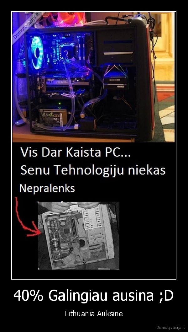 40% Galingiau ausina ;D