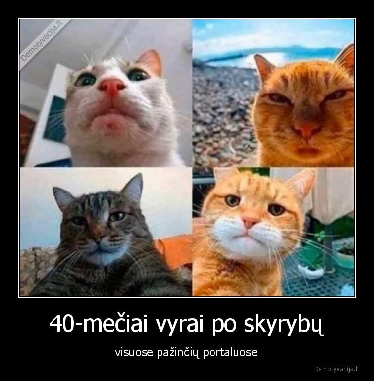 vyrai,katinai,nuotraukos