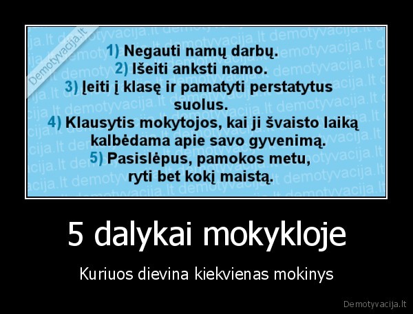 5 dalykai mokykloje