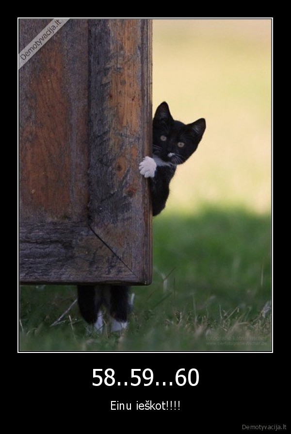 slepkys,nes, jau, iesko