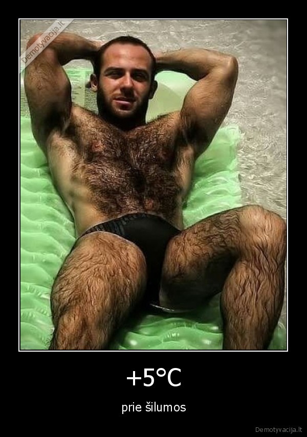 karstis,plaukuotas, kunas