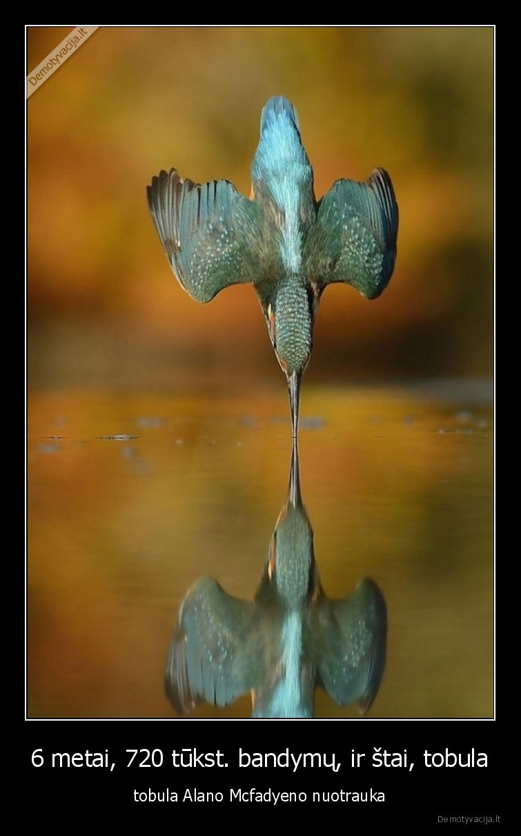 nuotrauka,bandymai,sunku,paukstis