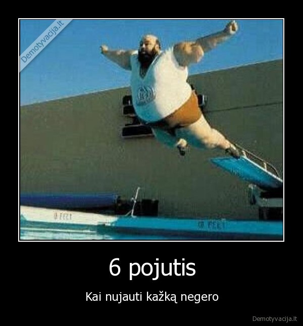 6 pojutis