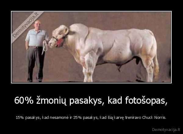 60% žmonių pasakys, kad fotošopas,