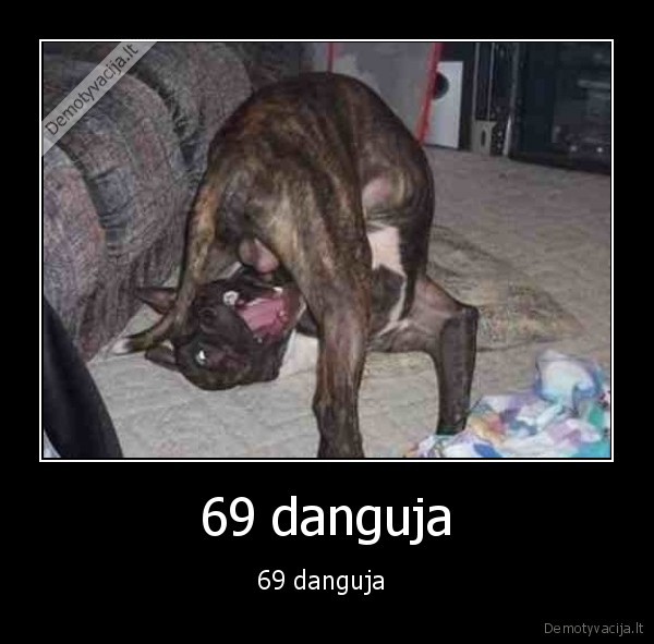 69 danguja