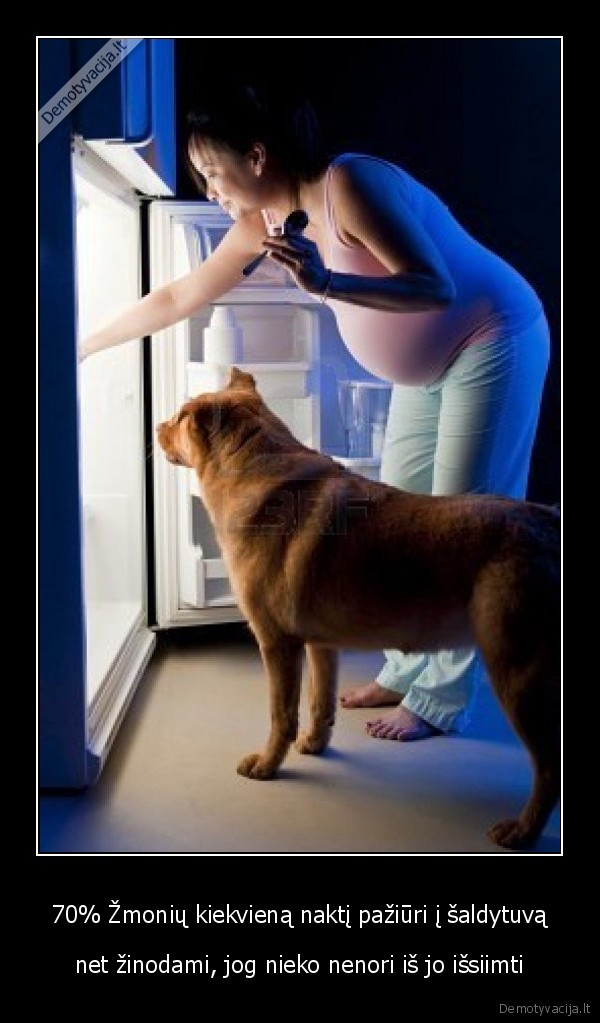 70% Žmonių kiekvieną naktį pažiūri į šaldytuvą