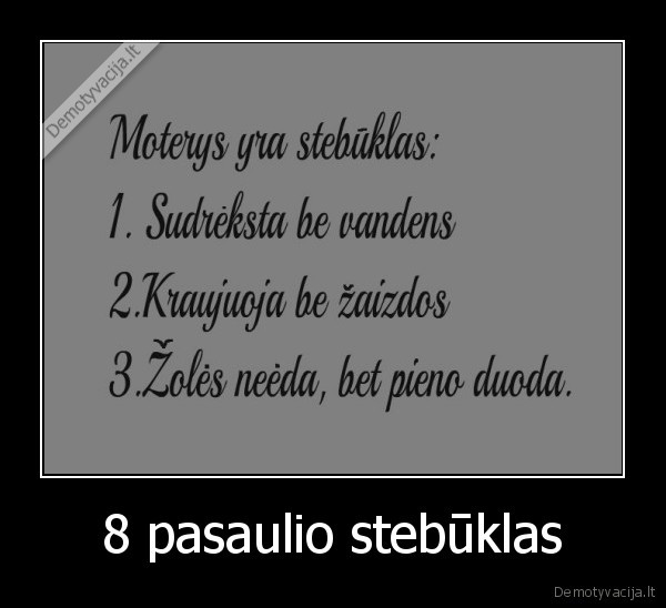 8 pasaulio stebūklas