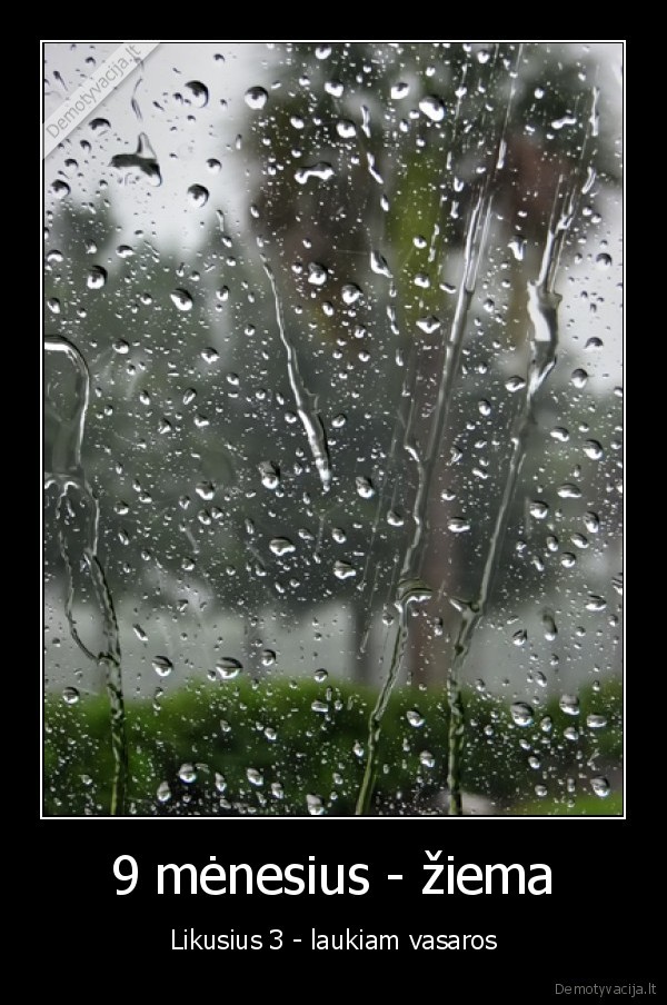 9 mėnesius - žiema