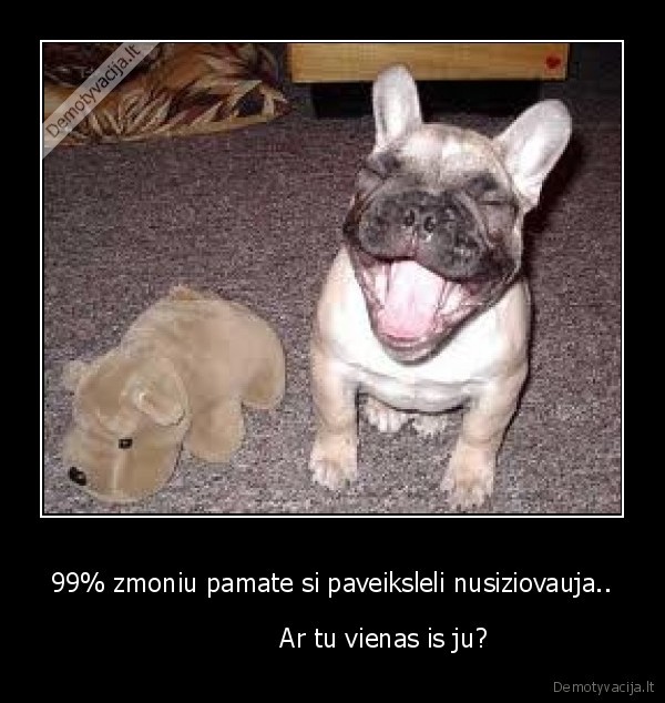 99% zmoniu pamate si paveiksleli nusiziovauja..