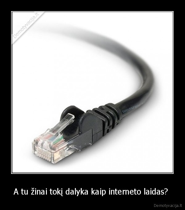 interneto, kabelis
