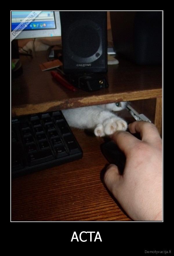 acta