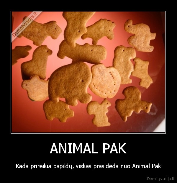 animal, pak, pack, sportas, maistas, jega