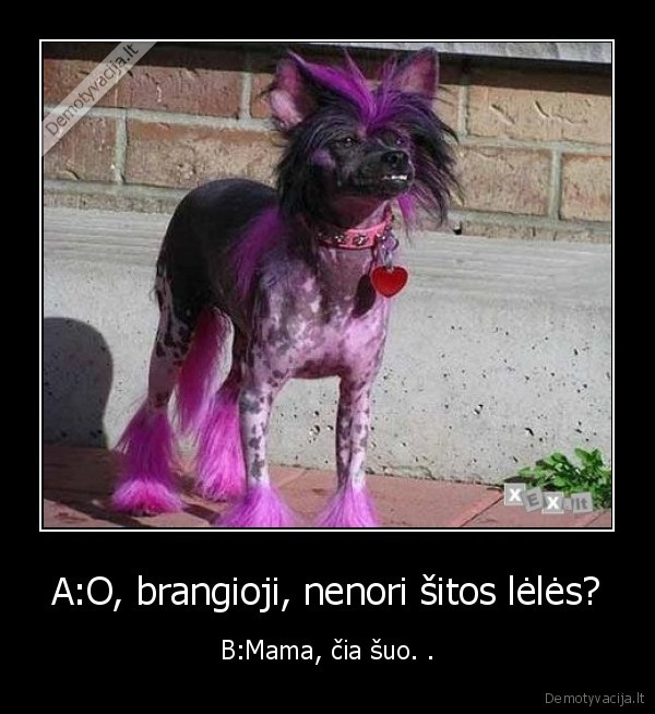 A:O, brangioji, nenori šitos lėlės?