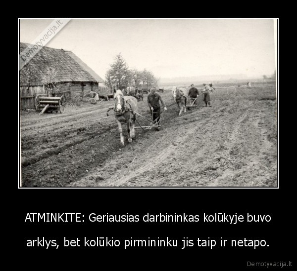 kolukis,sovietiniai, laikai,patarimas