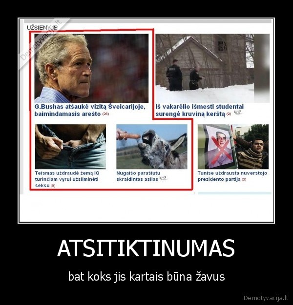 funny,sex,asilas,prezidentas,joke