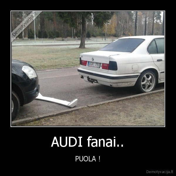 audi, bmw, puola, kaimo, vezimas, baisiai, mondras, volgswagenas, pasityciojimas