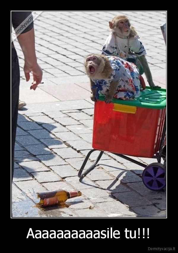 alus,butelis,dauzyti,sukes,mirtis