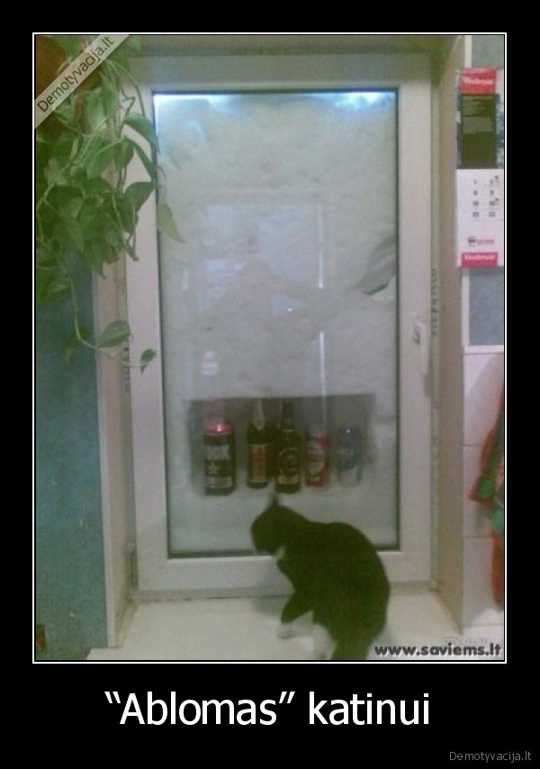 “Ablomas” katinui