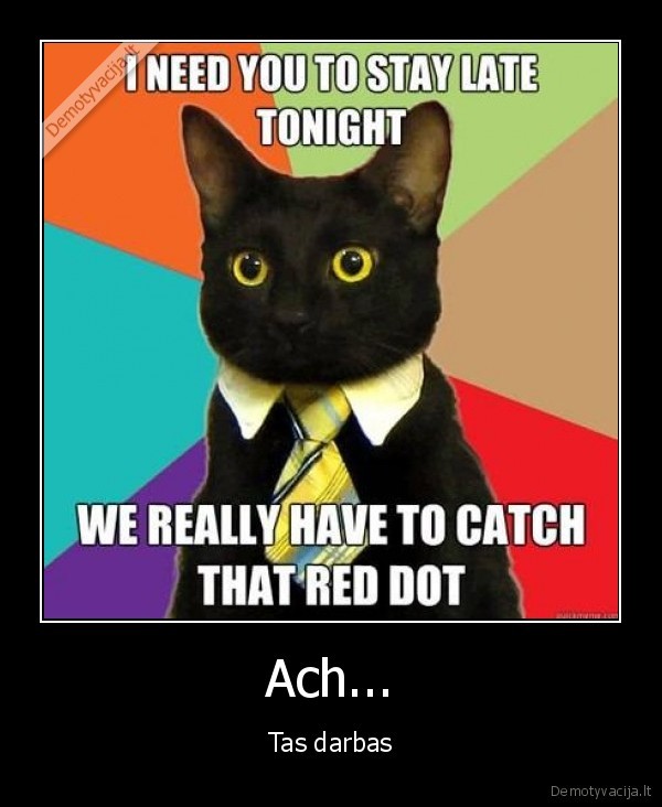red, dot, cat, work