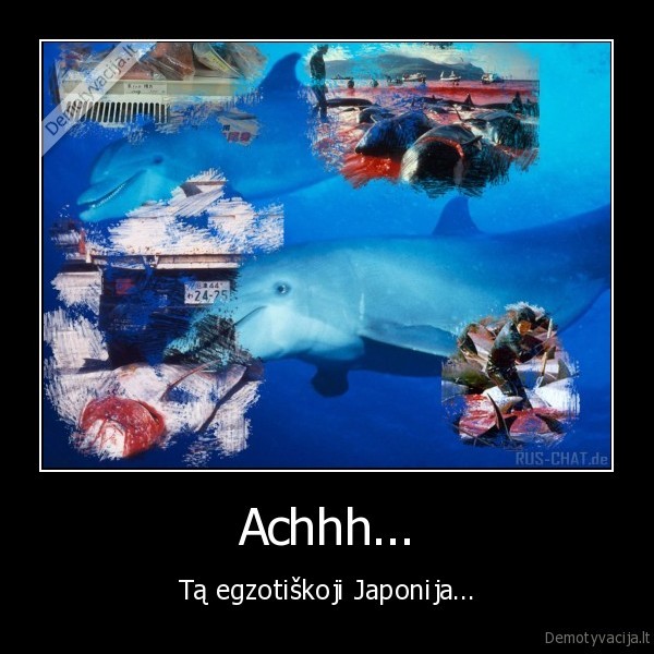 gyvunai,delfinai,smurtas,japonija