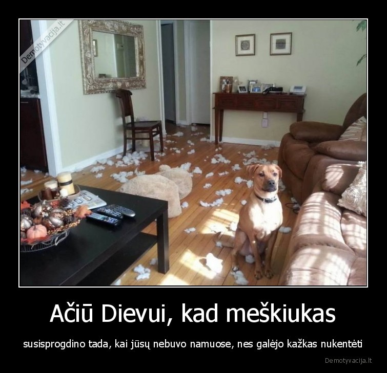 Ačiū Dievui, kad meškiukas