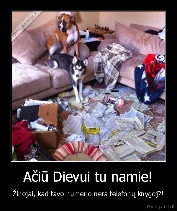 betvarke, namuose,juokingi, sunys,telefonu, knyga