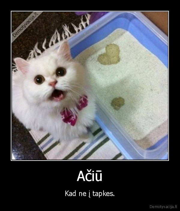 katinas,sisi,sirdele