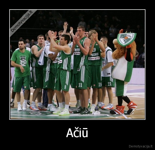 kaunas, zalgiris, aciu, jums, uz, pergale