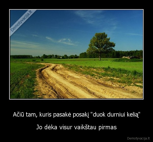 Ačiū tam, kuris pasakė posakį &quot;duok durniui kelią&quot;