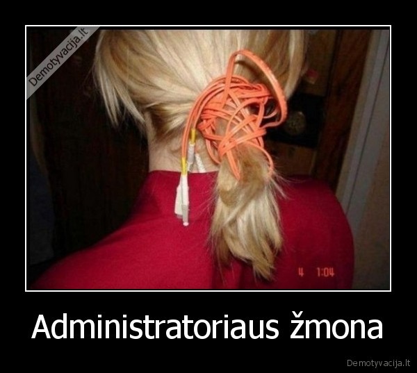 tinklu, administratorius,plauku, kasa